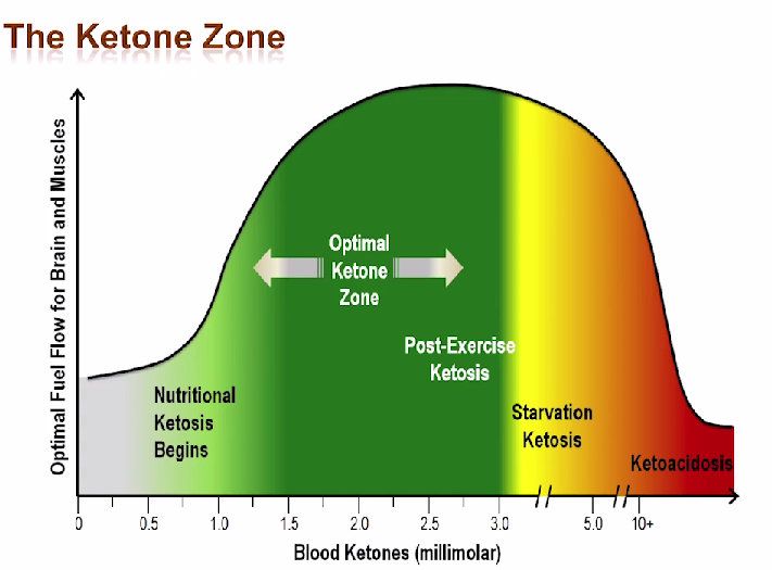 ketosis-chart